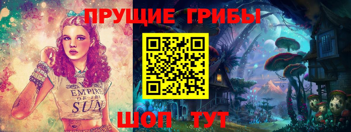 Рассказово  Псилоцибиновые грибы MAGIC MUSHROOMS  Вход с VPN 
