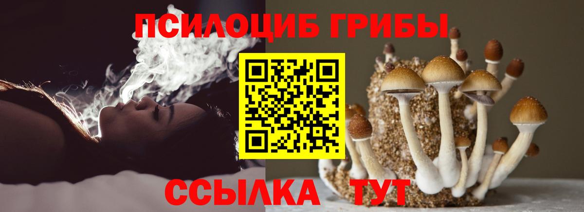 Галлюциногенные грибы мицелий Рассказово